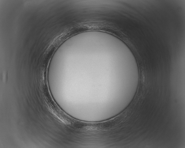 X0000085770733200703160932