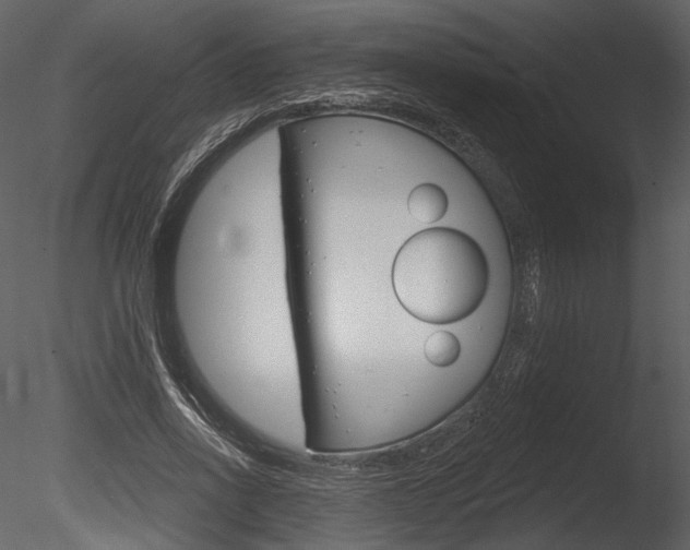 X0000085770734200703160932