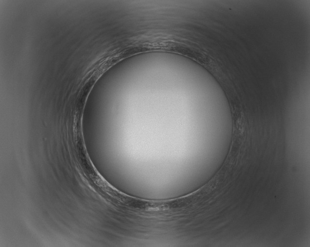 X0000085770744200703160932
