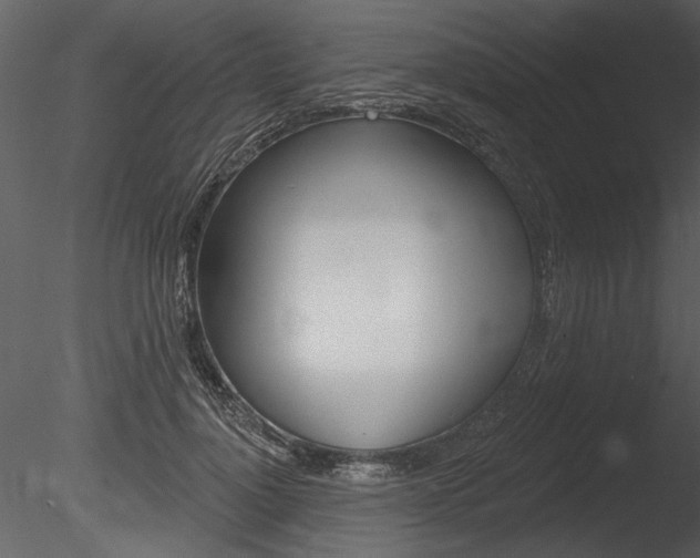 X0000085770748200703160932