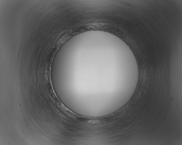 X0000085770749200703160932