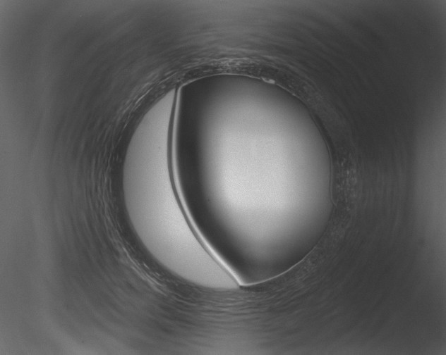 X0000085770750200703160932