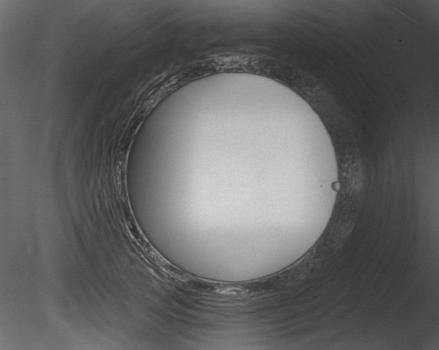 X0000085770753200703160932