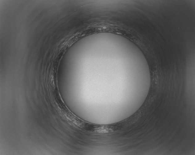 X0000085770754200703160932