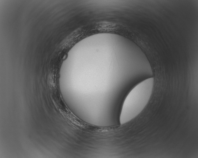 X0000085770755200703160932