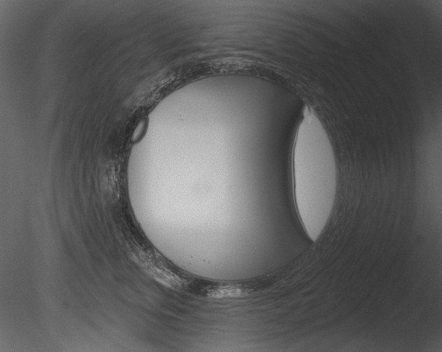 X0000085770759200703160932