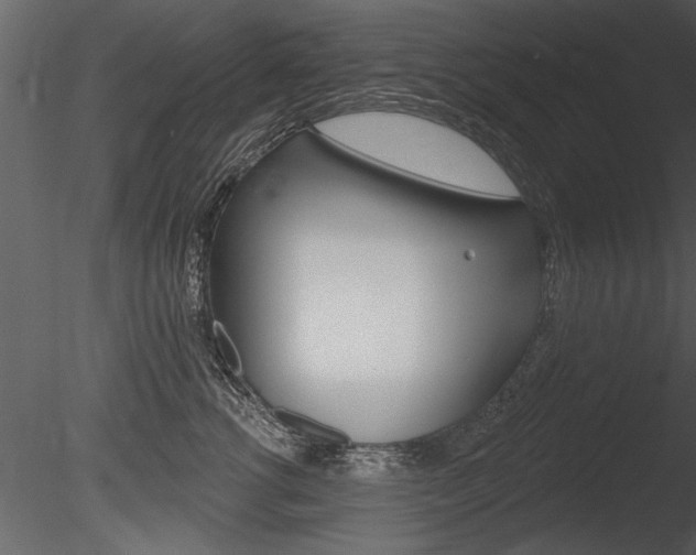 X0000085770762200703160932