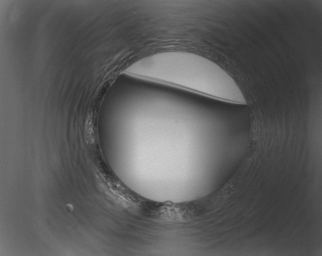 X0000085770764200703160932