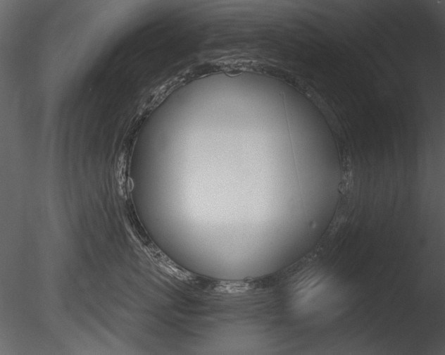X0000085770767200703160932