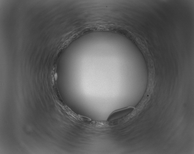 X0000085770768200703160932