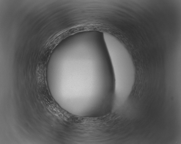 X0000085770773200703160932