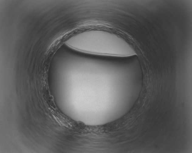 X0000085770775200703160931