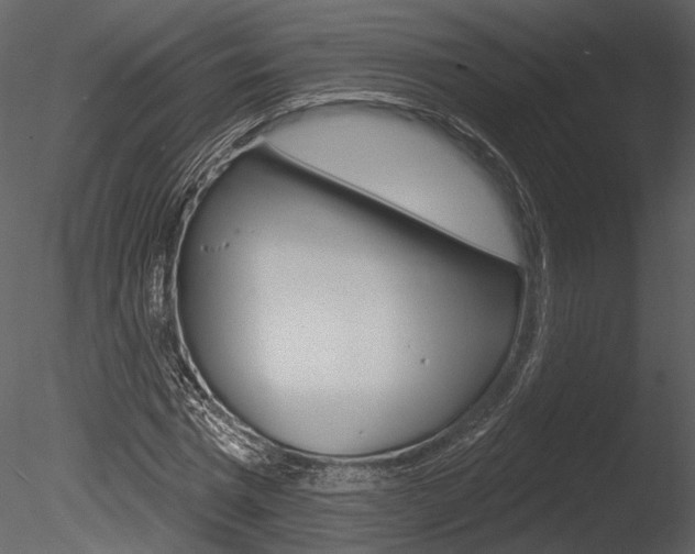 X0000085770777200703160931