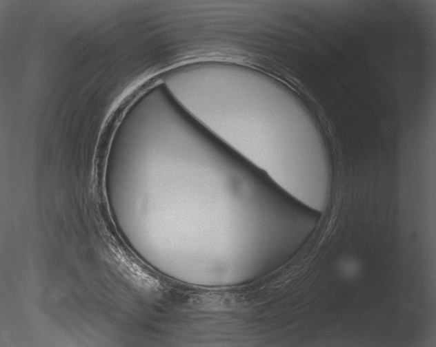 X0000085770780200703160931