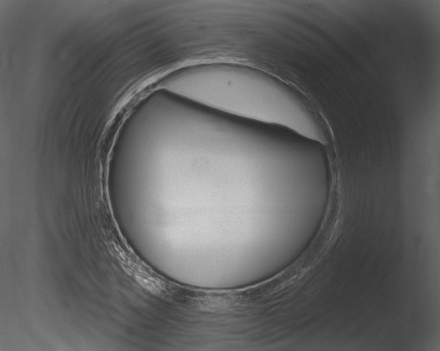 X0000085770781200703160931