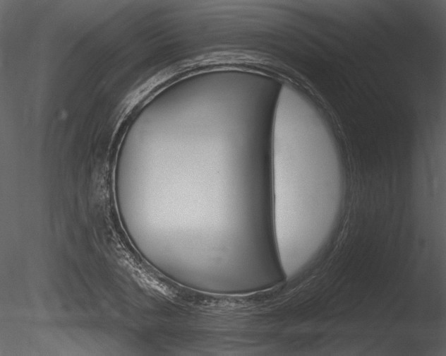 X0000085770786200703160931