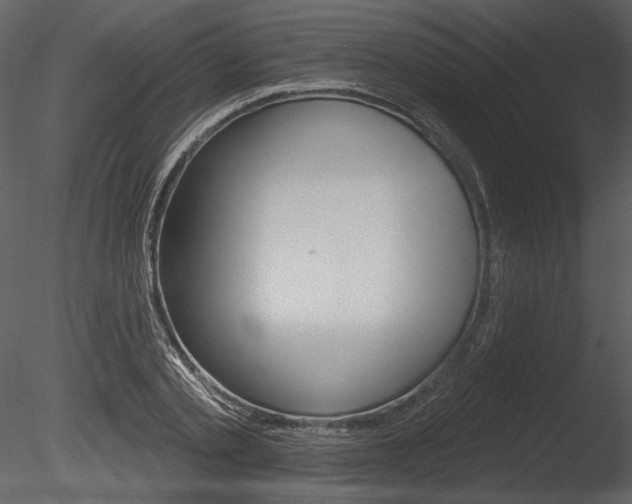 X0000085770789200703160931