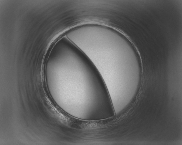 X0000085770791200703160931