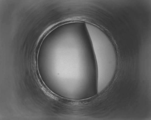 X0000085770792200703160931