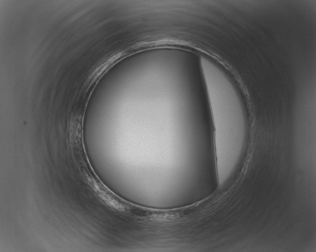 X0000085770793200703160931