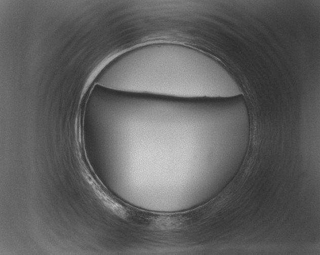 X0000085770796200703160931