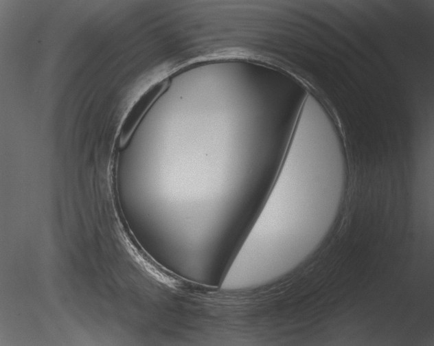X0000085770805200703160931