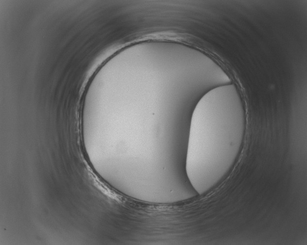 X0000085770808200703160931