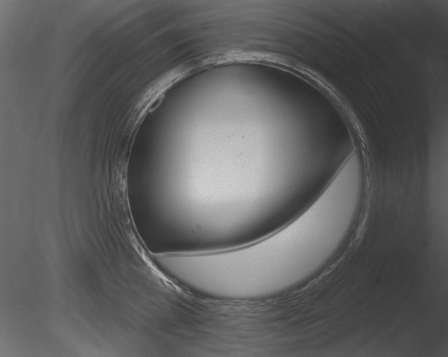 X0000085770809200703160931