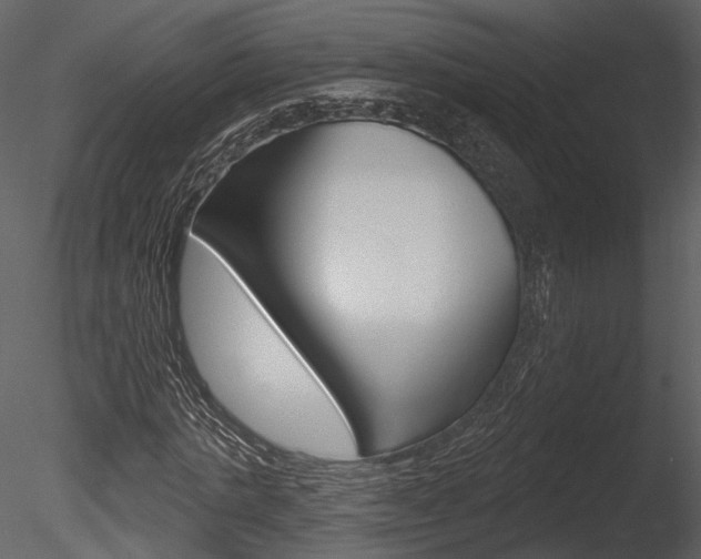 X0000085770821200703160930