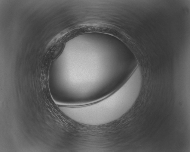 X0000085770822200703160930