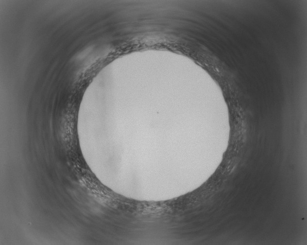 X0000085770824200703160930