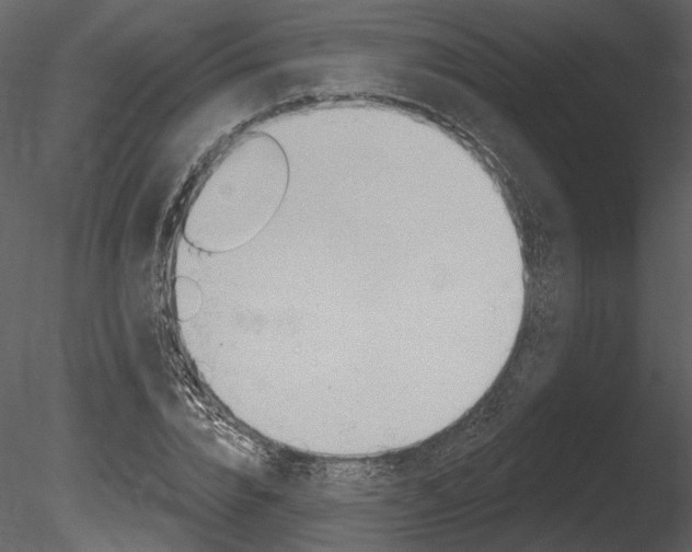 X0000085770832200703160930