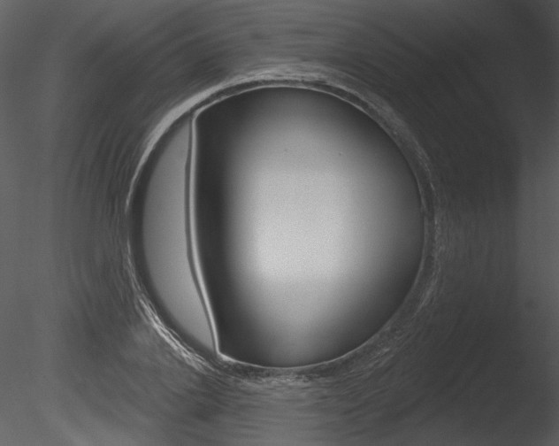 X0000085770838200703160930