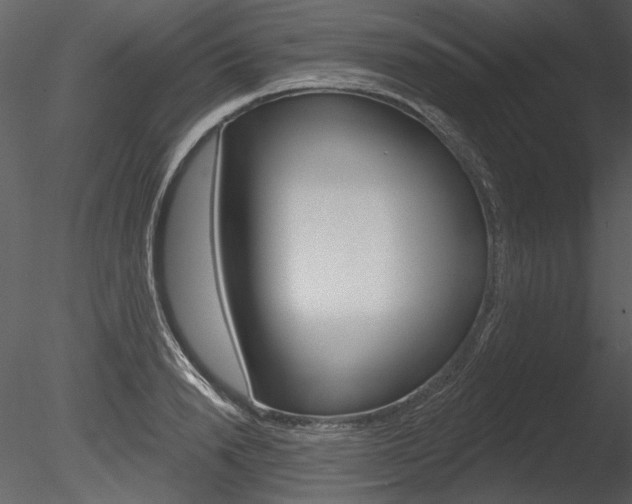 X0000085770846200703160930