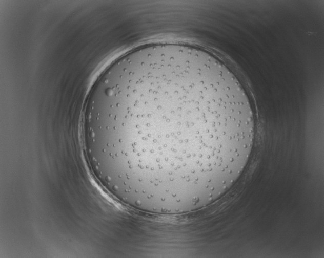 X0000085770855200703160931