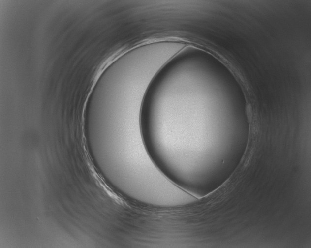 X0000085770858200703160931