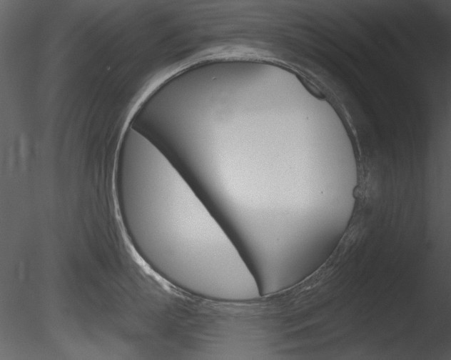 X0000085770863200703160931