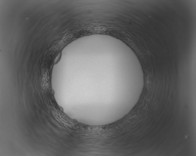 X0000085770866200703160930