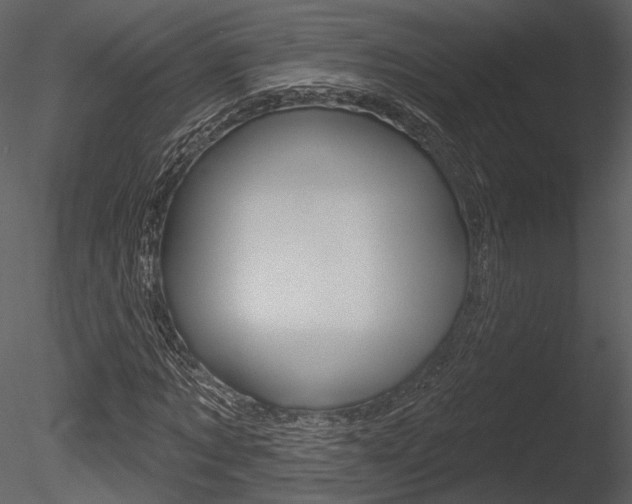 X0000085770869200703160930