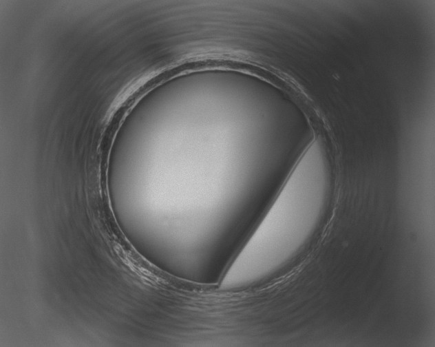 X0000085770877200703160930
