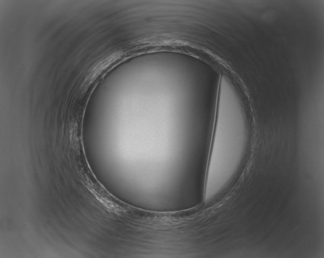 X0000085770881200703160930