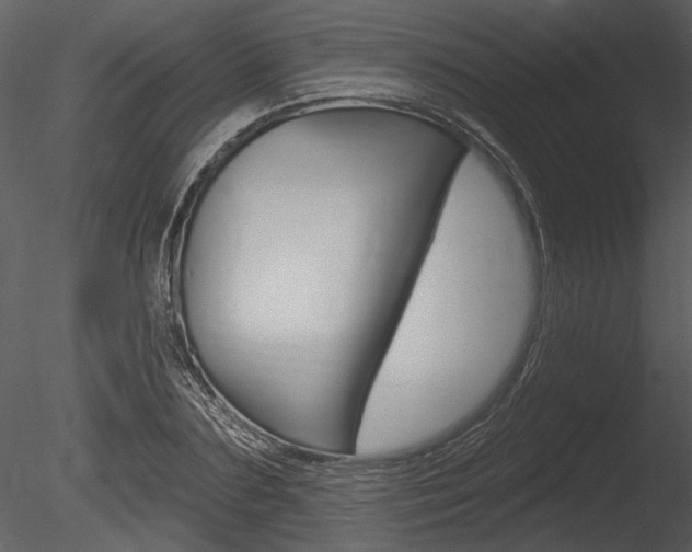 X0000085770883200703160930