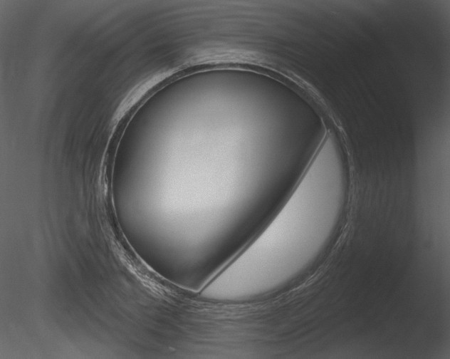 X0000085770885200703160930