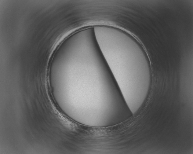 X0000085770895200703160929