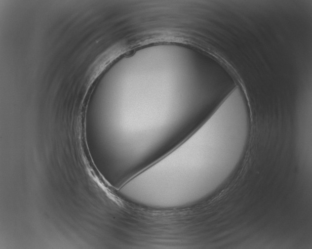 X0000085770898200703160929