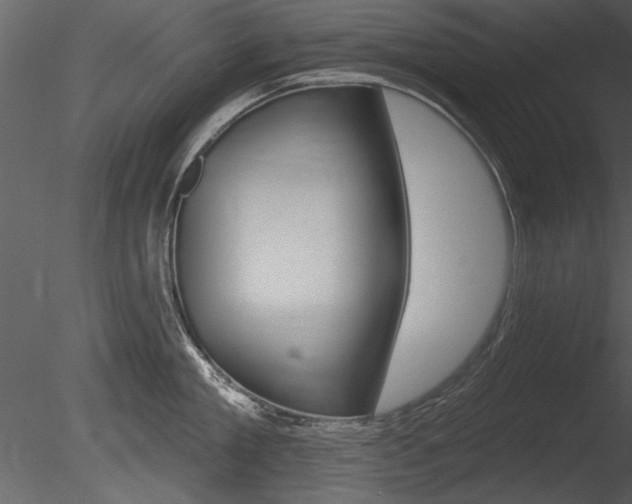 X0000085770909200703160929