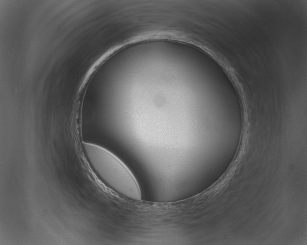 X0000085770912200703160929