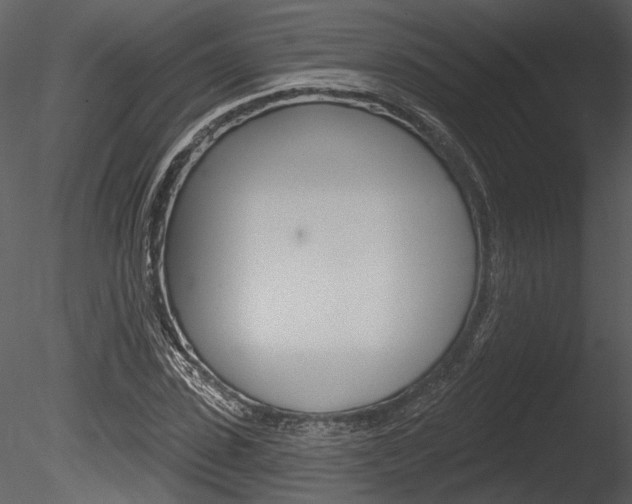 X0000085770923200703160928