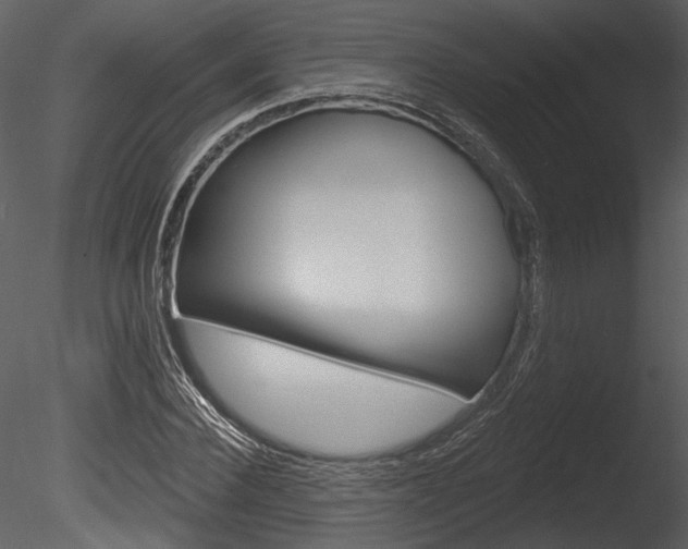 X0000085770924200703160928