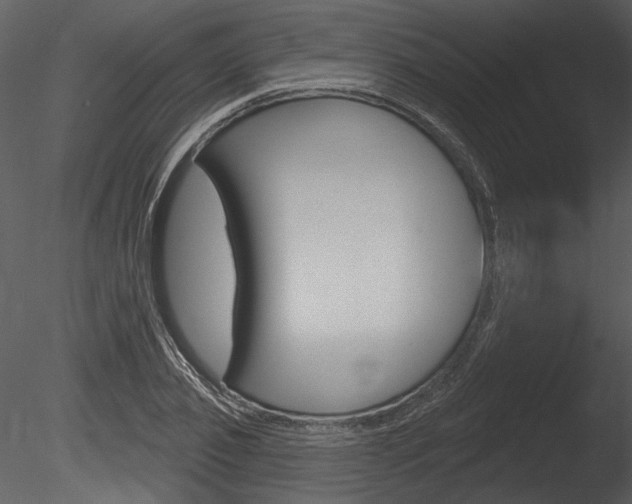 X0000085770933200703160929